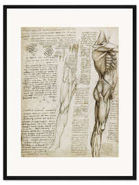 Gerahmter Kunstdruck Die Muskeln