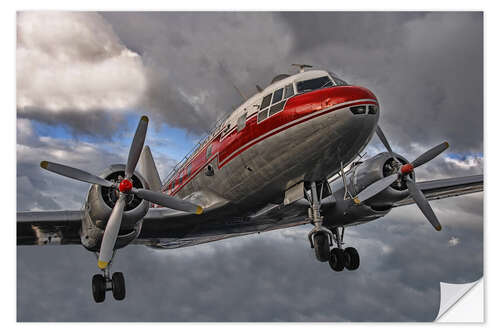 Vinilo para la pared old lady of aviation