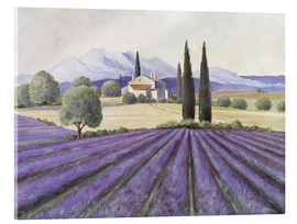 Tableau en verre acrylique  Champs de lavande - Franz Heigl