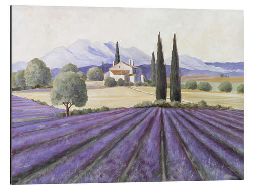 Aluminiumsbilde Lavender Fields