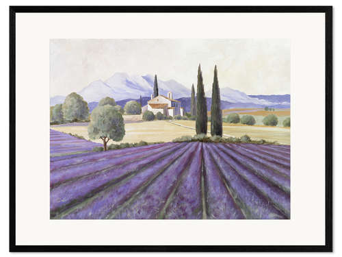 Impresión de arte enmarcada Campo de lavanda