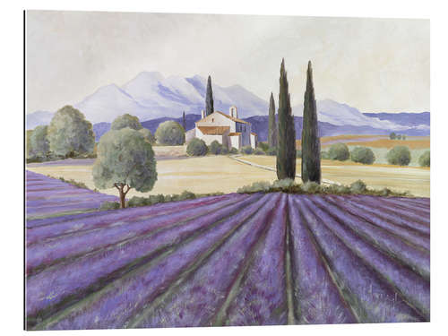 Gallery print Lavender Fields