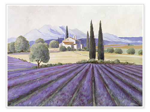 Poster Lavender Fields
