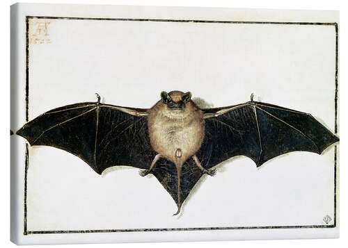 Canvas-taulu Bat