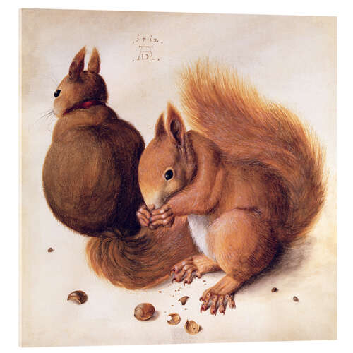 Acrylic print Squirrels