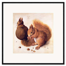 Framed art print Squirrels