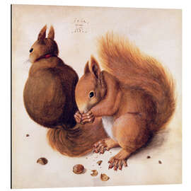 Magnettafel Eichhörnchen