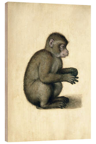 Hout print A Monkey