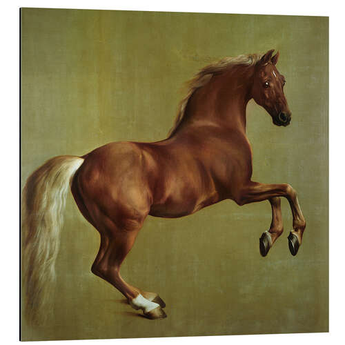 Aluminiumsbilde Whistlejacket