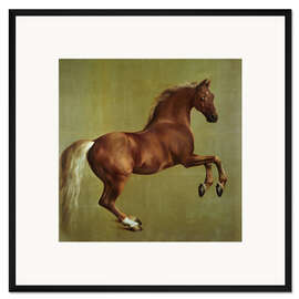 Gerahmter Kunstdruck Whistlejacket