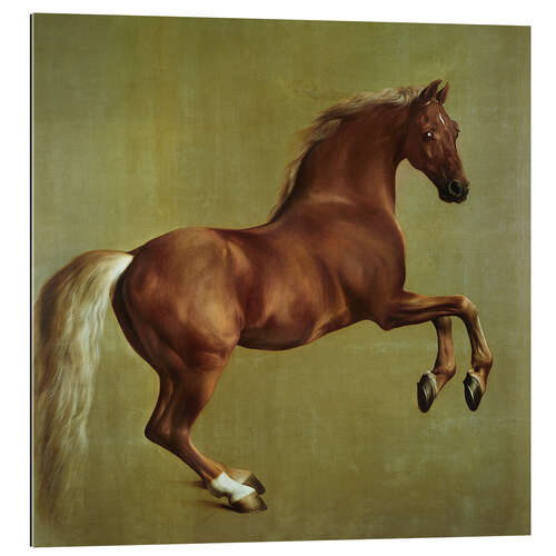 Galleritryck Whistlejacket