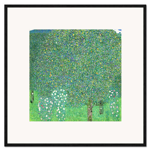 Impression artistique encadrée Rosiers sous les arbres