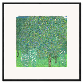 Impression artistique encadrée Rosiers sous les arbres