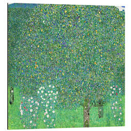 Magnettafel Rosen unter Bäumen