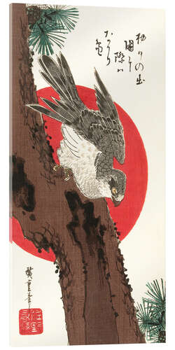 Acrylic print Falcon, Pine, and New Year Sunrise