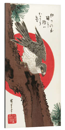 Cuadro de aluminio Falcon, Pine, and New Year Sunrise