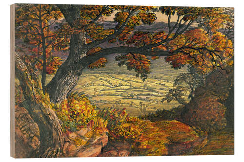 Wood print Dense forest of Kent