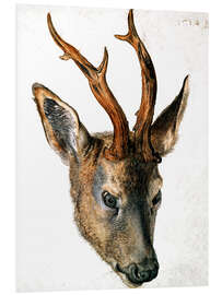 Foam board print Head of a Roe Deer