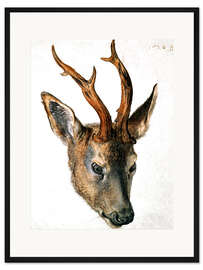 Gerahmter Kunstdruck Kopf eines Rehs