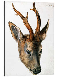 Magnettafel Kopf eines Rehs