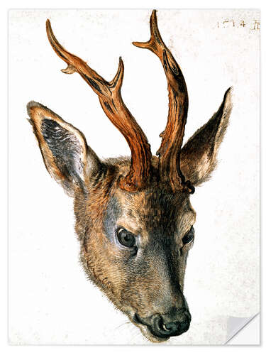 Wall sticker Head of a Roe Deer