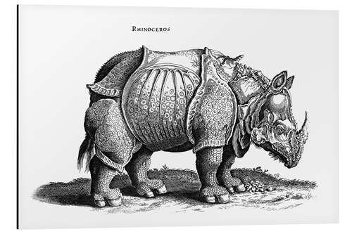 Stampa su alluminio Rhinoceros