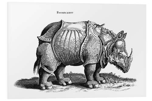 Foam board print Rhinoceros