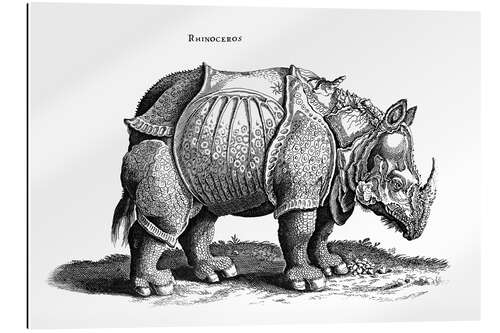 Quadro em plexi-alumínio Rhinoceros