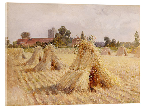 Acrylic print Corn Stooks by Bray Church