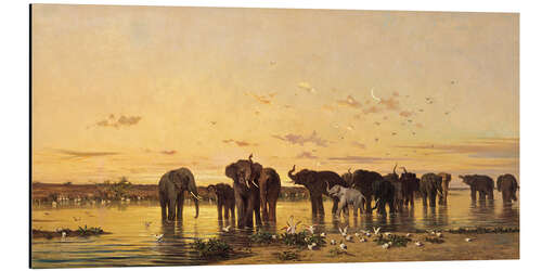 Stampa su alluminio African Elephants