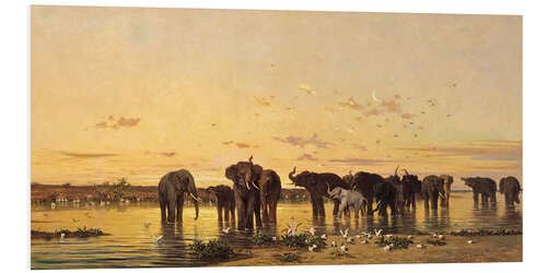 Foam board print African Elephants