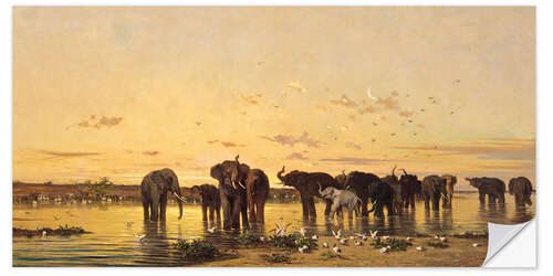 Naklejka na ścianę African Elephants