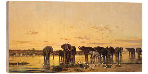 Obraz na drewnie African Elephants