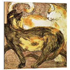 Magnettafel Zwei Katzen