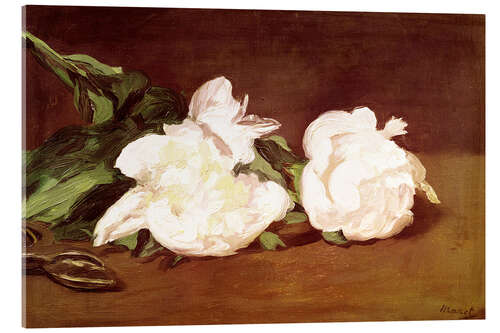 Akrylbilde Branch of White Peonies and Secateurs