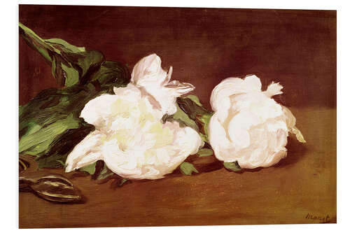 Foam board print Branch of White Peonies and Secateurs