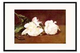 Gerahmter Kunstdruck Weiße Pfingstrosen und eine Gartenschere