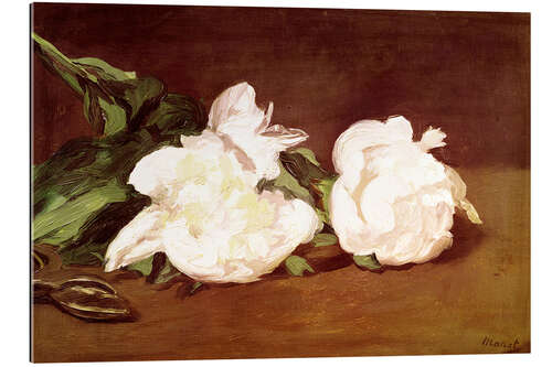 Gallery print Branch of White Peonies and Secateurs