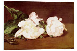 Magnettafel Weiße Pfingstrosen und eine Gartenschere