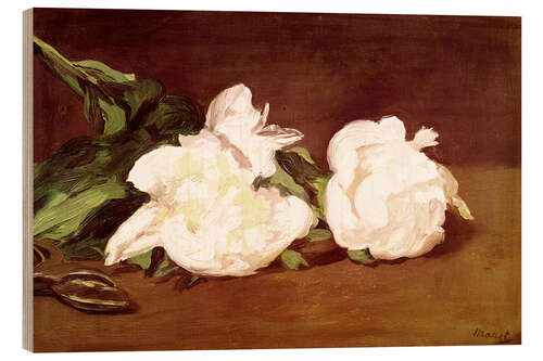 Quadro de madeira Branch of White Peonies and Secateurs