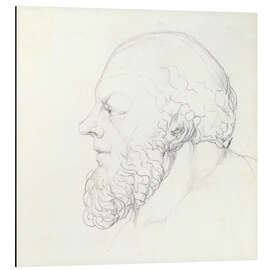 Cuadro de aluminio Socrates, a Visionary Head