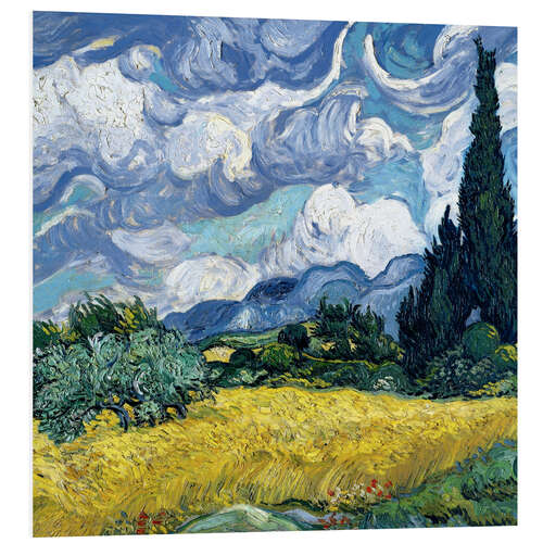 Foam board print Wheat field with cypresses