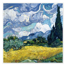 Poster Wheat field with cypresses