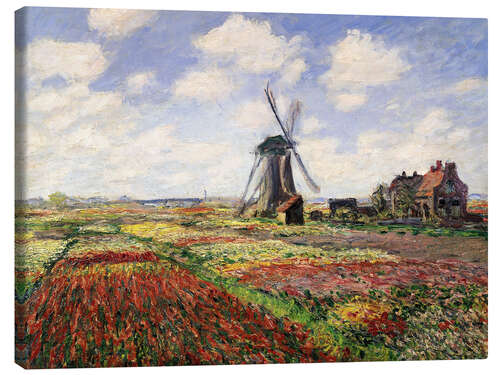Canvas print Tulip Fields with the Rijnsburg Windmill