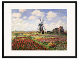 Gerahmter Kunstdruck Tulpenfelder bei der Windmühle von Rijnsburg