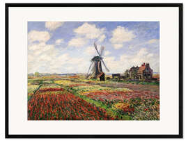 Framed art print Tulip Fields with the Rijnsburg Windmill