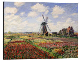 Magnettafel Tulpenfelder bei der Windmühle von Rijnsburg