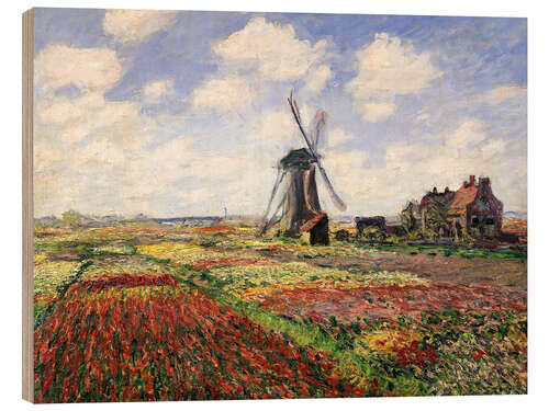 Quadro de madeira Tulip Fields with the Rijnsburg Windmill