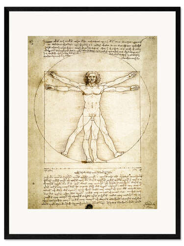 Kehystetty taidepainatus The Proportions of the human figure