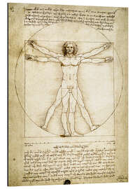 Magnettafel Der vitruvianische Mensch